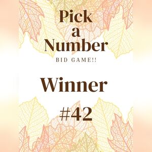 Winner #42